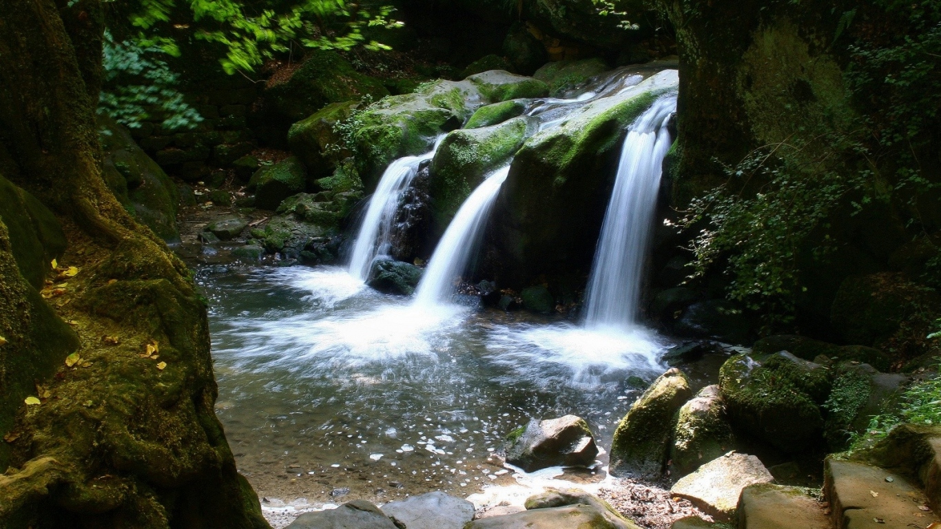 Водопад в лесу