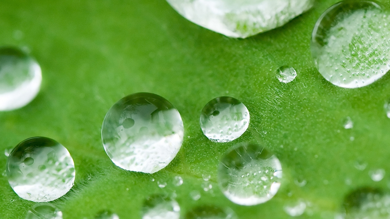 Маленькие водные капли