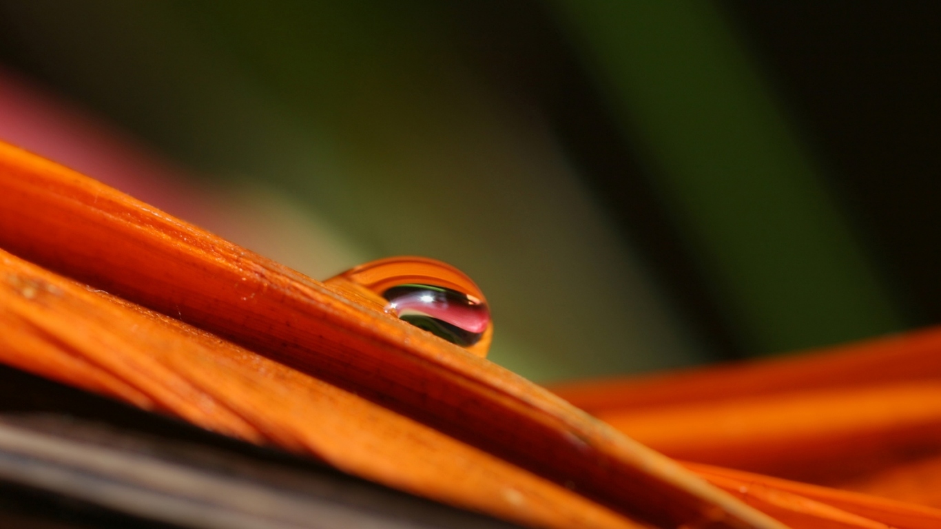 Гладкое Скольжение