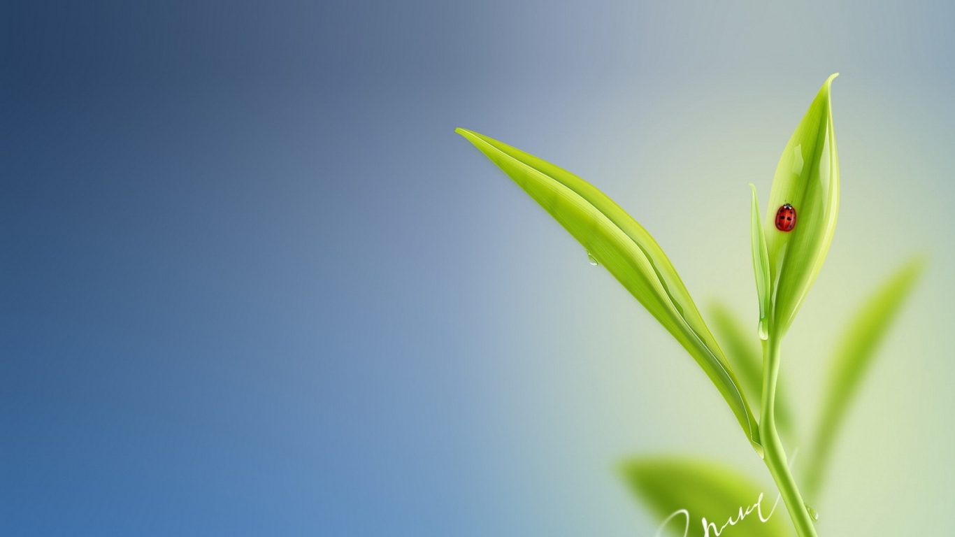 Божья коровка