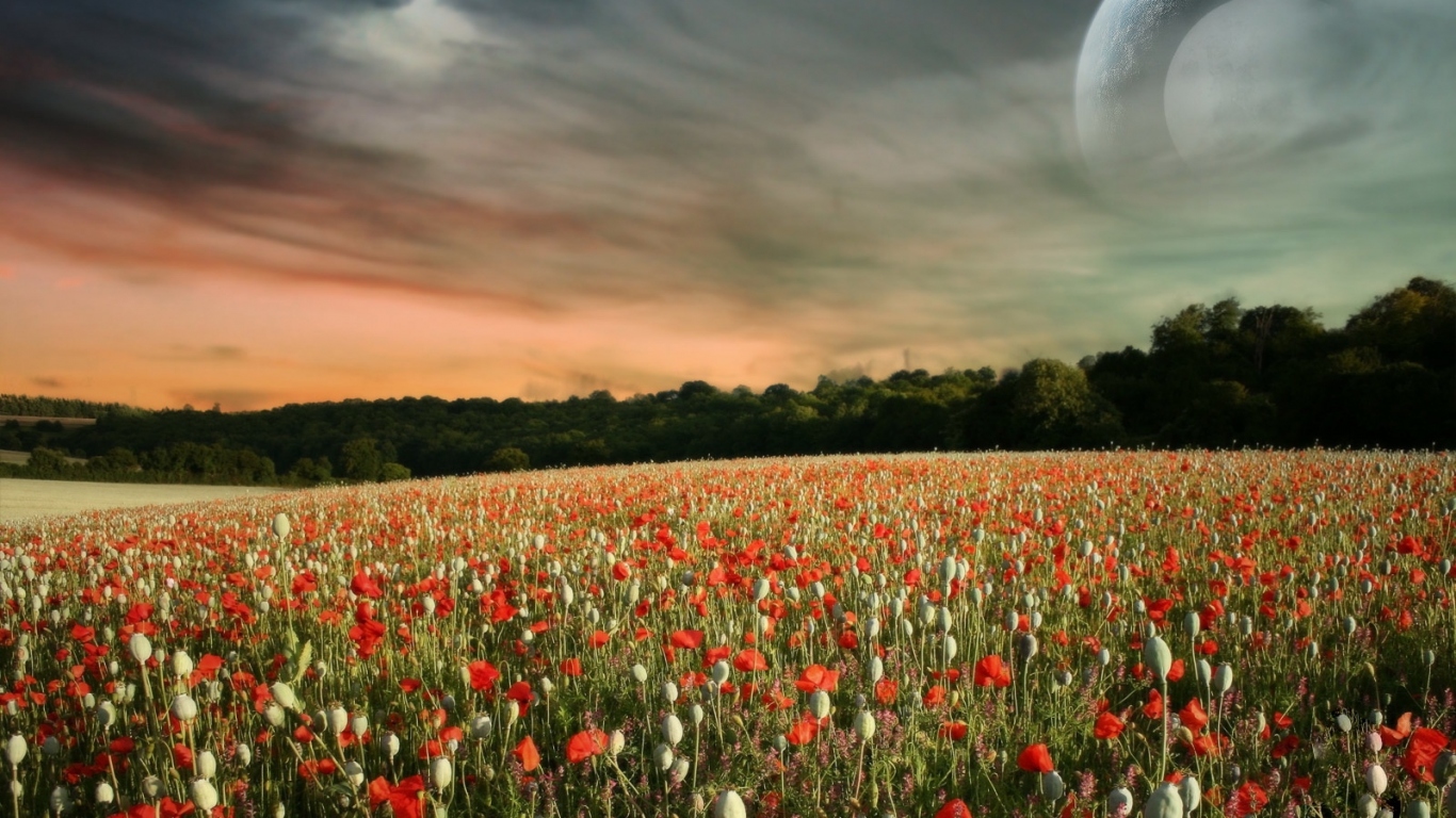 Паралельный мир