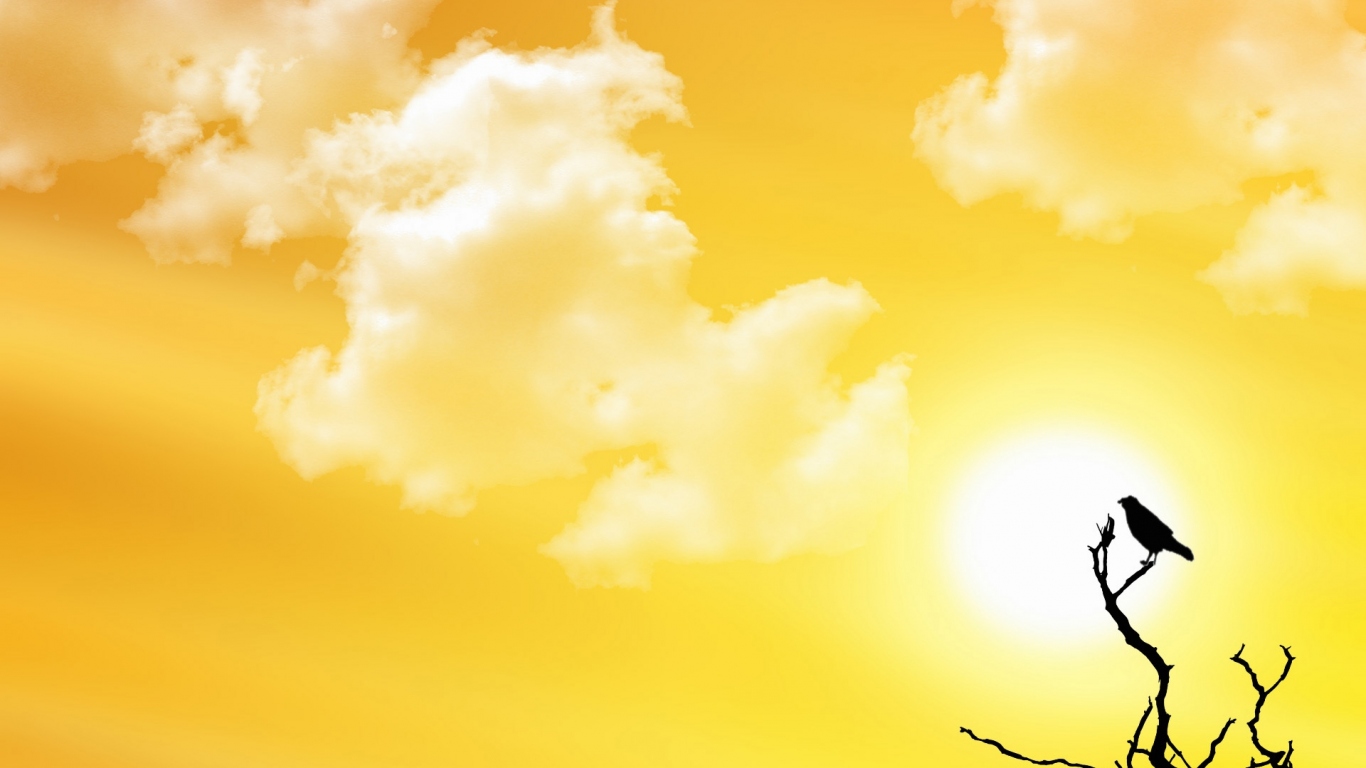 Птица заката