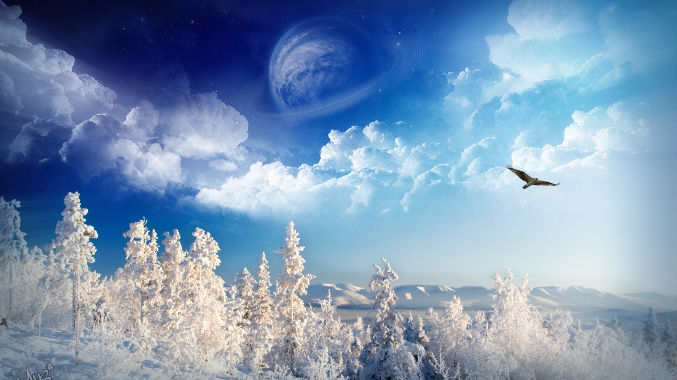 Зимняя страна чудес