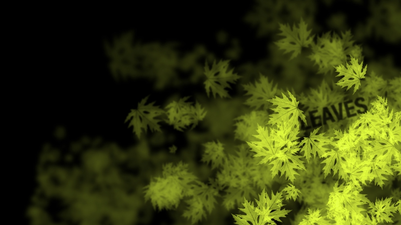 Кленовые листья