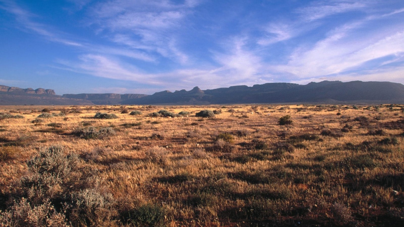 Karoo - Кару / Африка