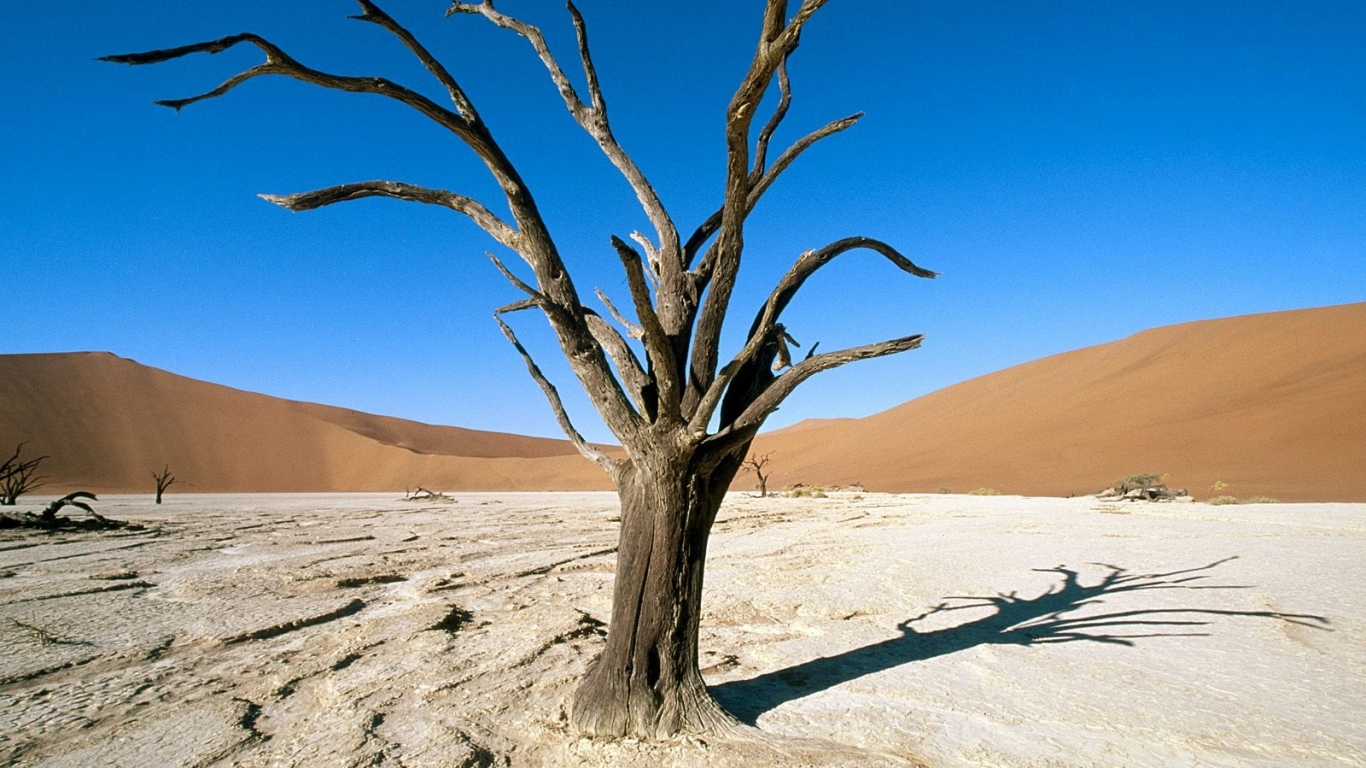 Парк Namib-Naukluft / Пустыня Намиб / Намибия / Африка