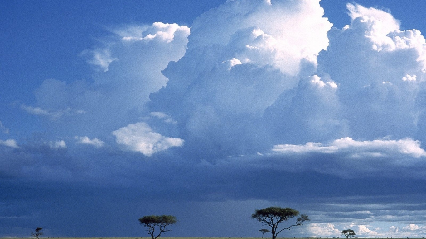 Storm over the Savannah / Masai Mara Reserve / Kenya / Africa
