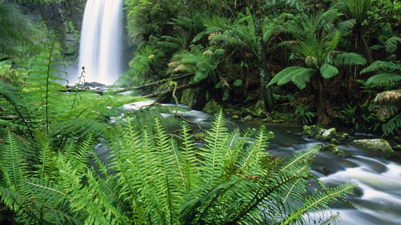 Водопады Хопетон / Местечко Отвэй / Виктория / Австралия