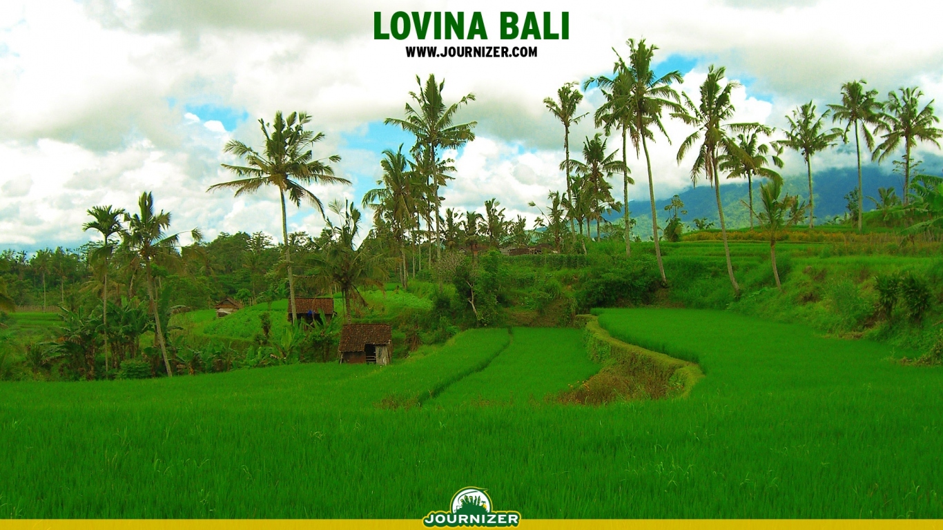 Lovina Бали