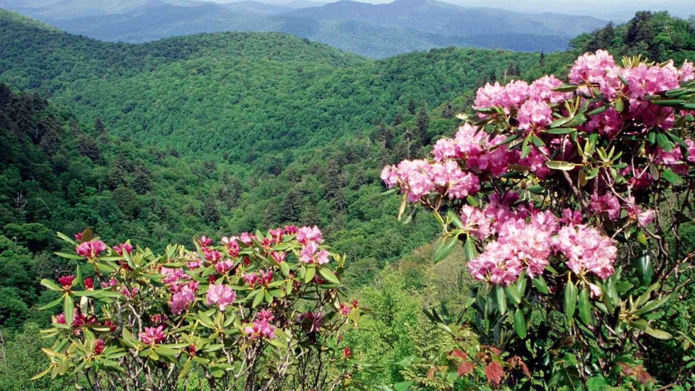Коса Голубого хребта США