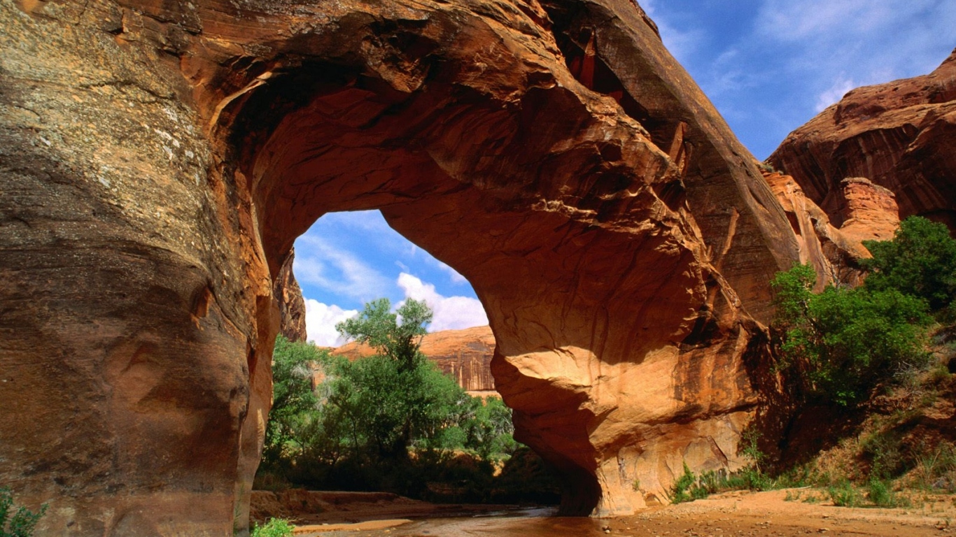 Американский волк Естественный Мост США