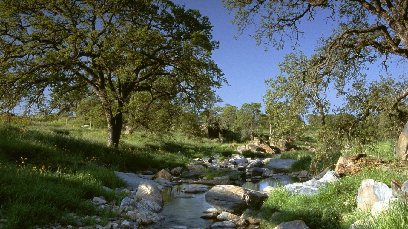 Золотая Страна / Калифорния / США