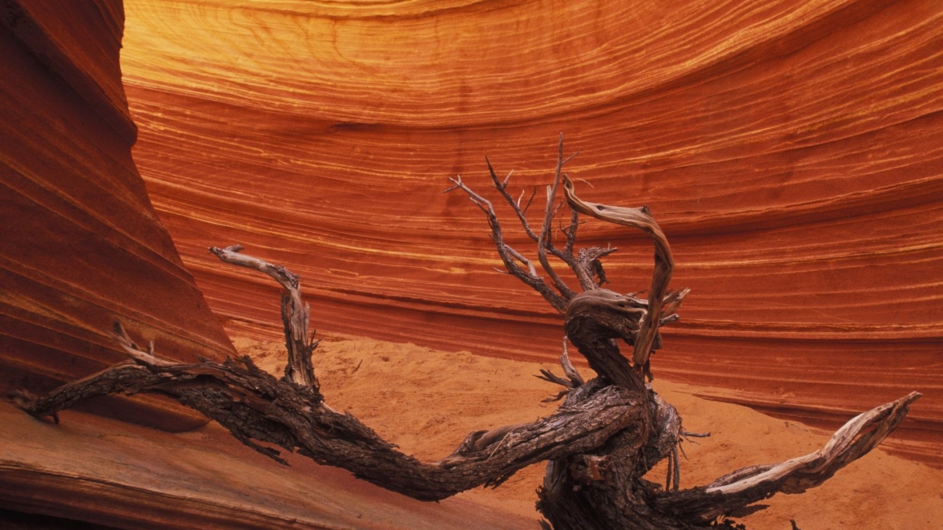 Гладкое Формирование скалы / Каньон Paria / Аризона / США