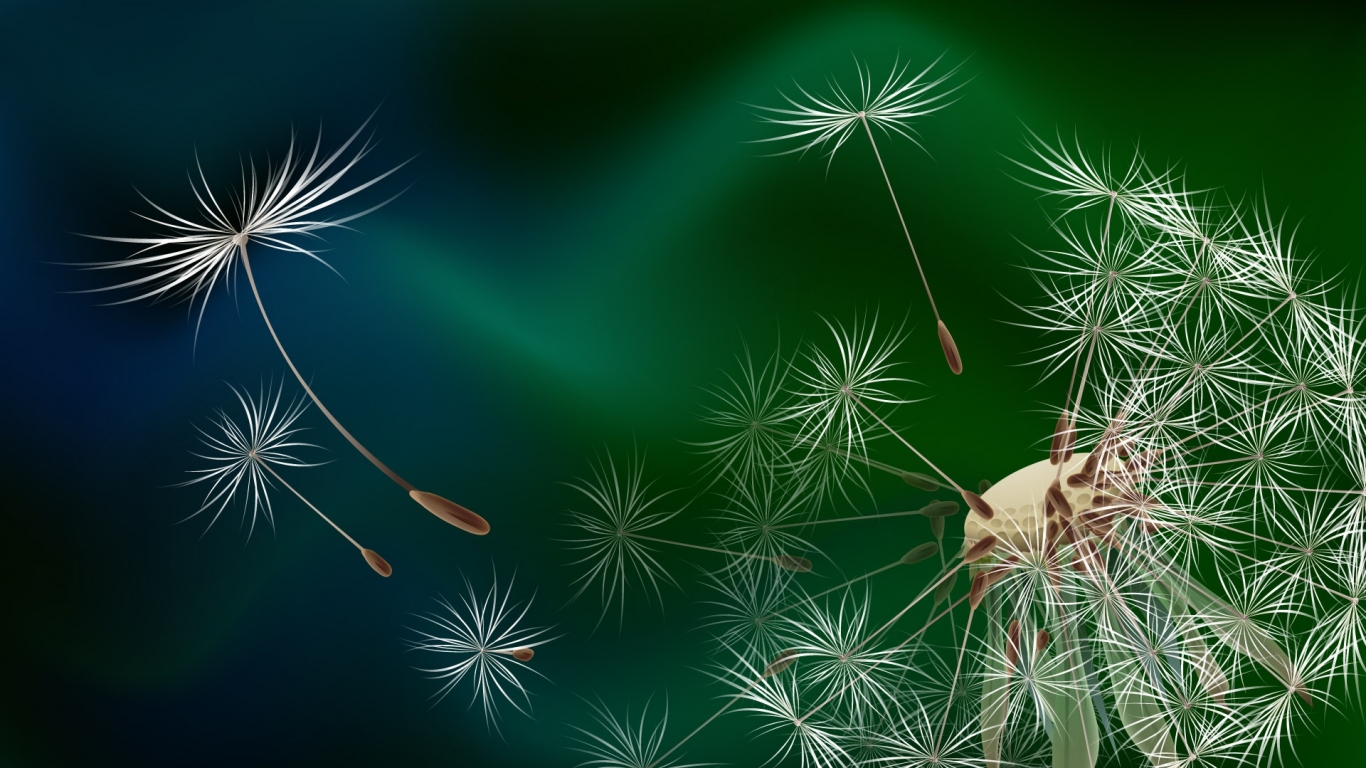 Семена одуванчика