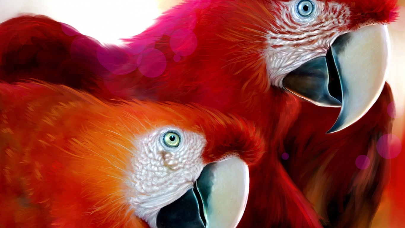 Красные попугаи