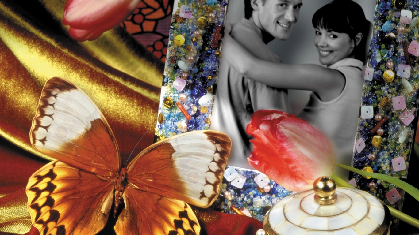 Бабочка у фотографии