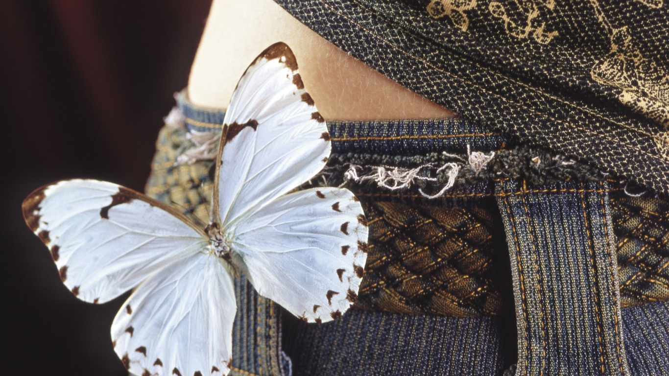 Бабочка на бедрах