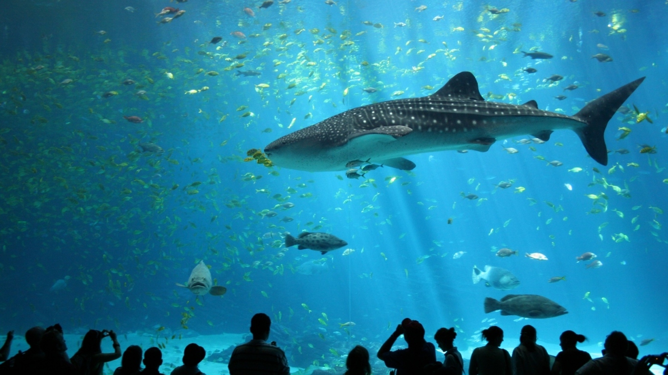 Океанариум
