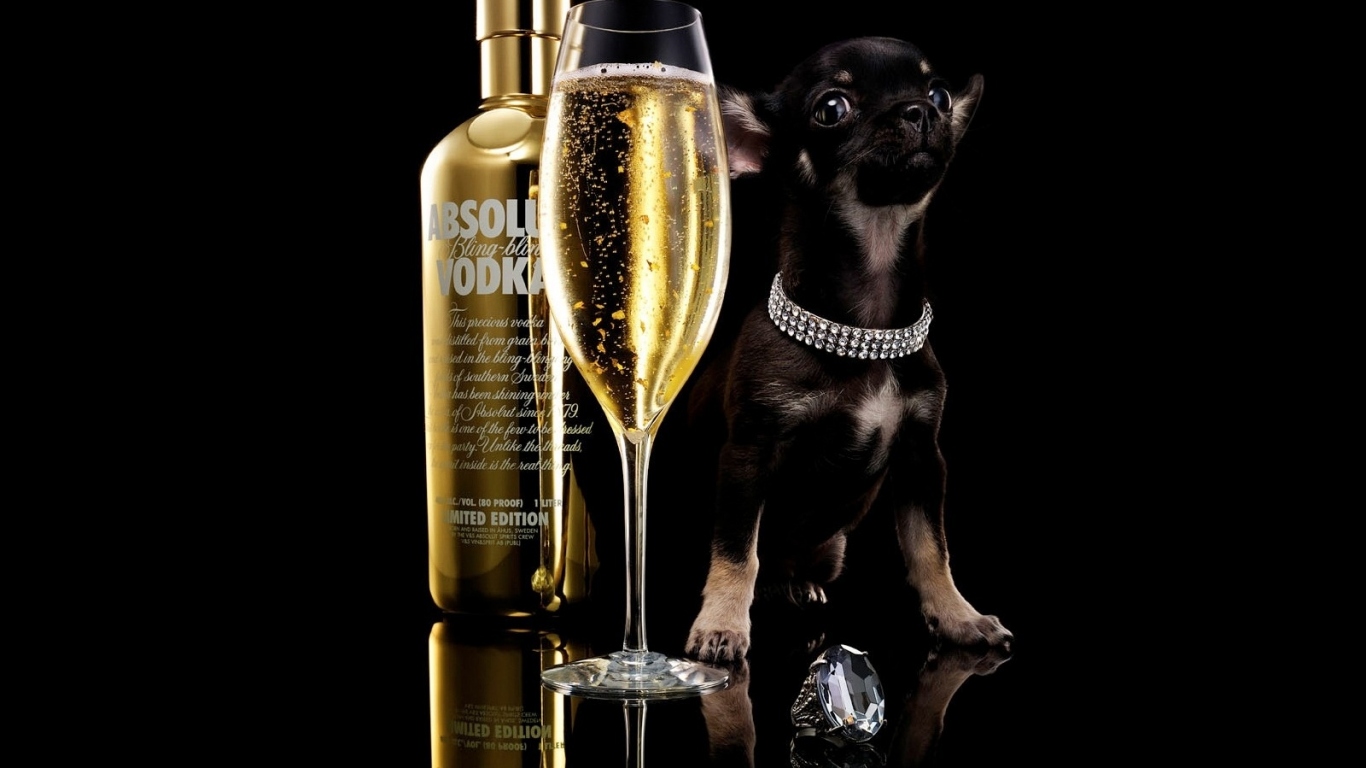 Реклама водки Absolute