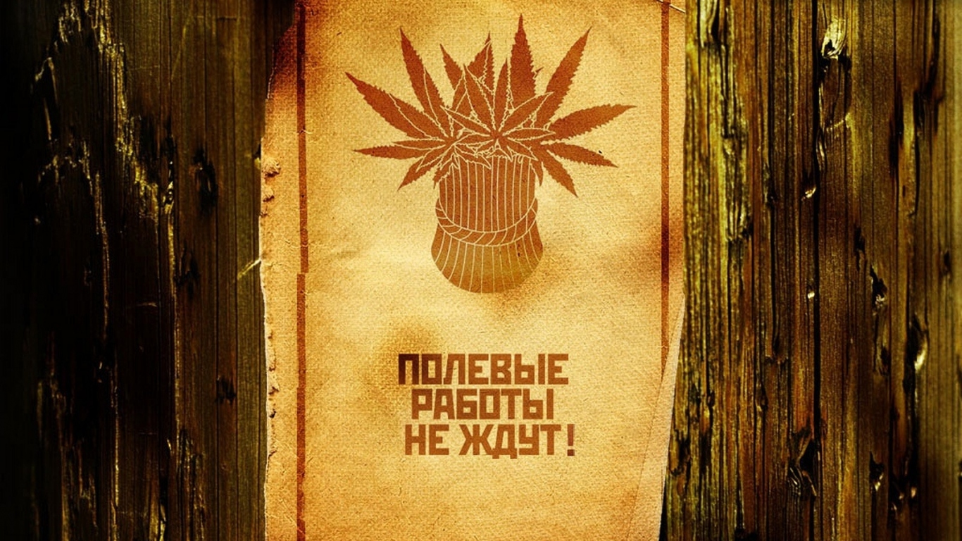 Сбор веселого урожая