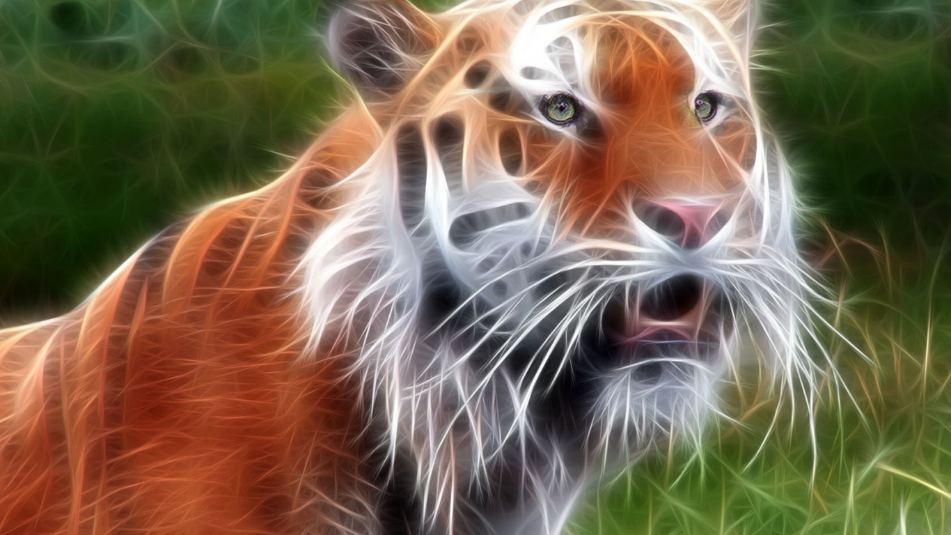 Красавец тигр