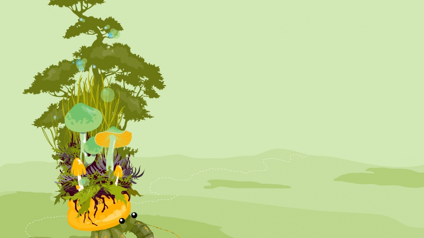 Грибы  на панцире