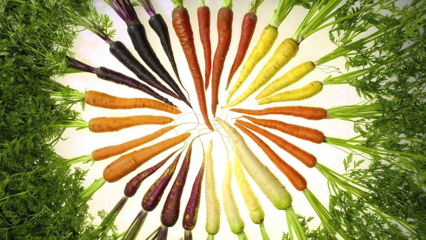 Цветная морковка