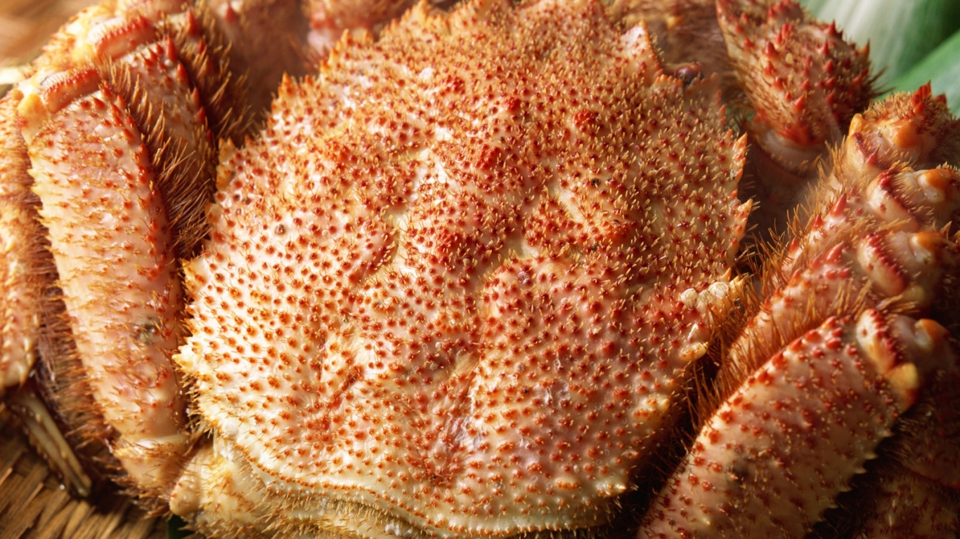 Огромный крабовый