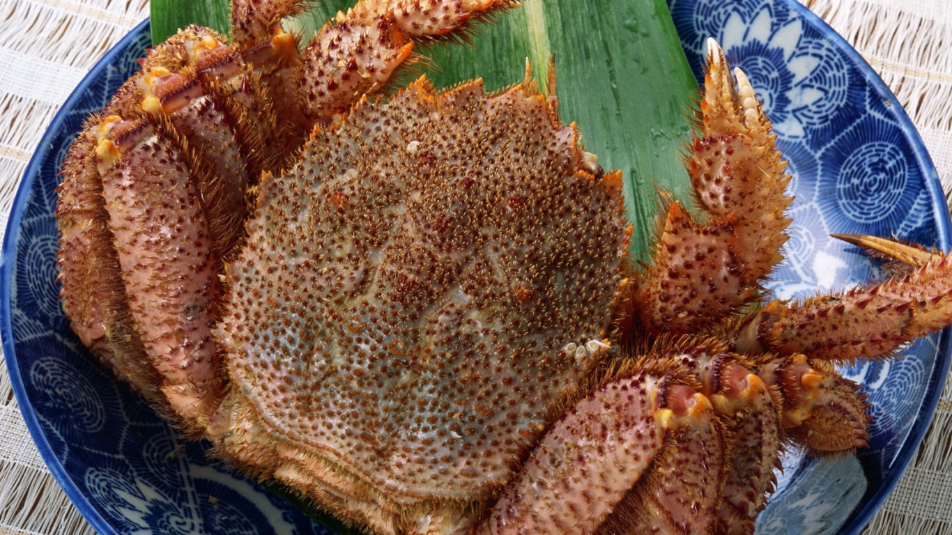 Колючий краб