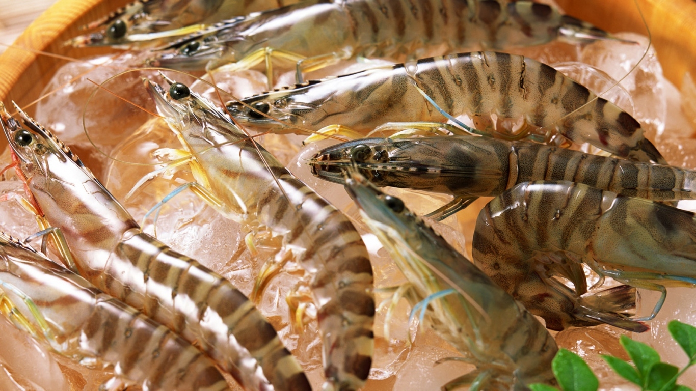 Полосатые креветки