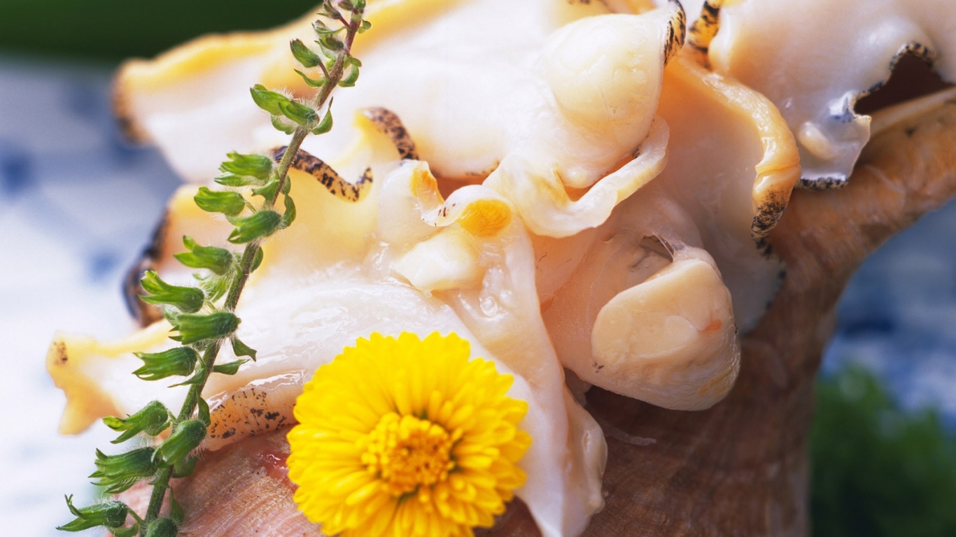 вкусный кальмар