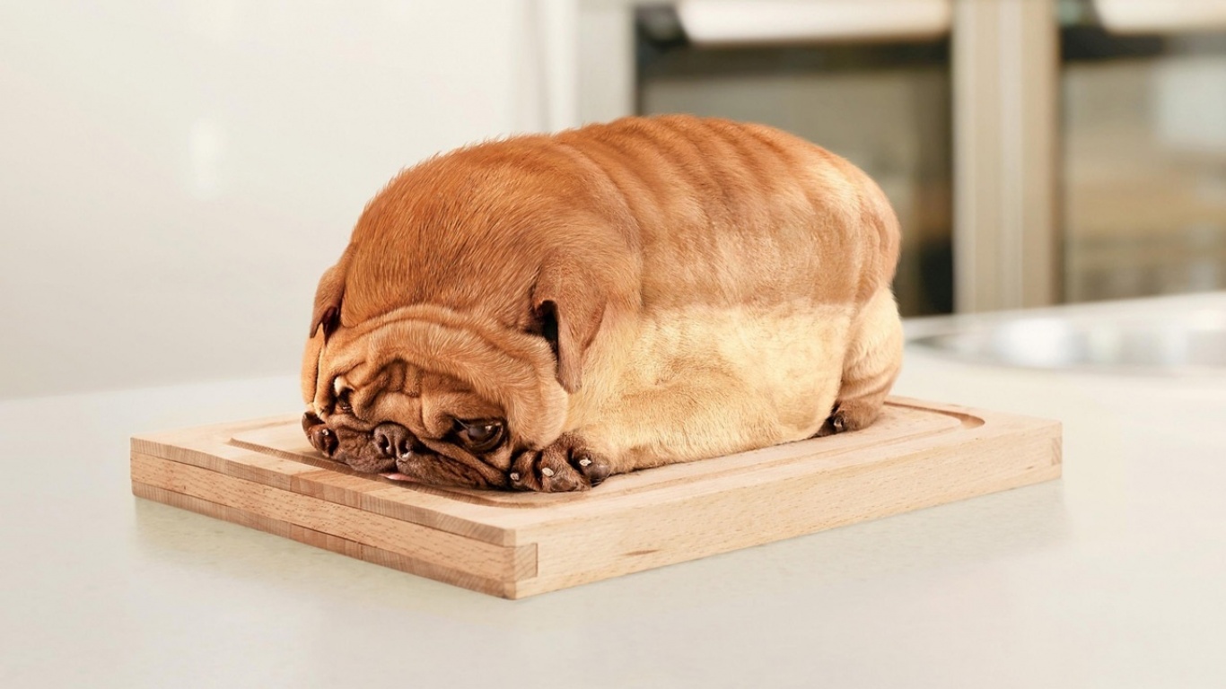 Дока Хлеб