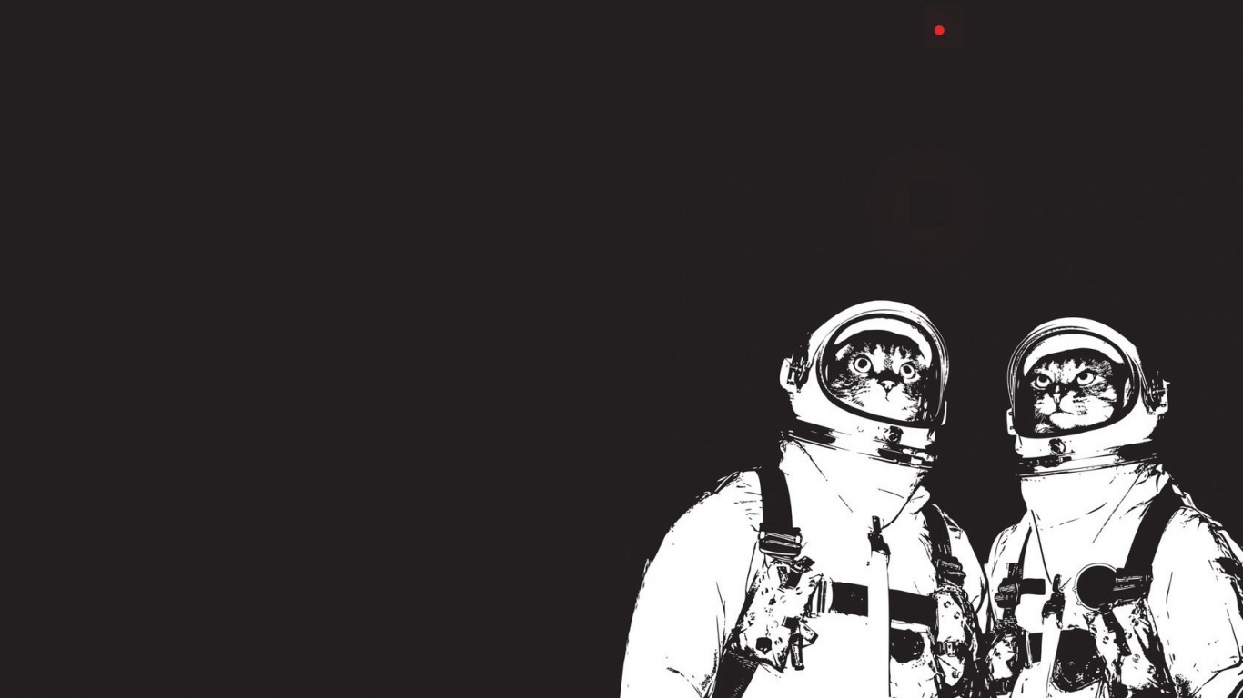 Коты космонавты