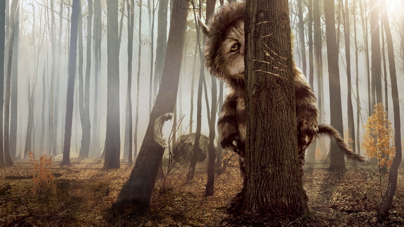 КотоПёс кэжуал