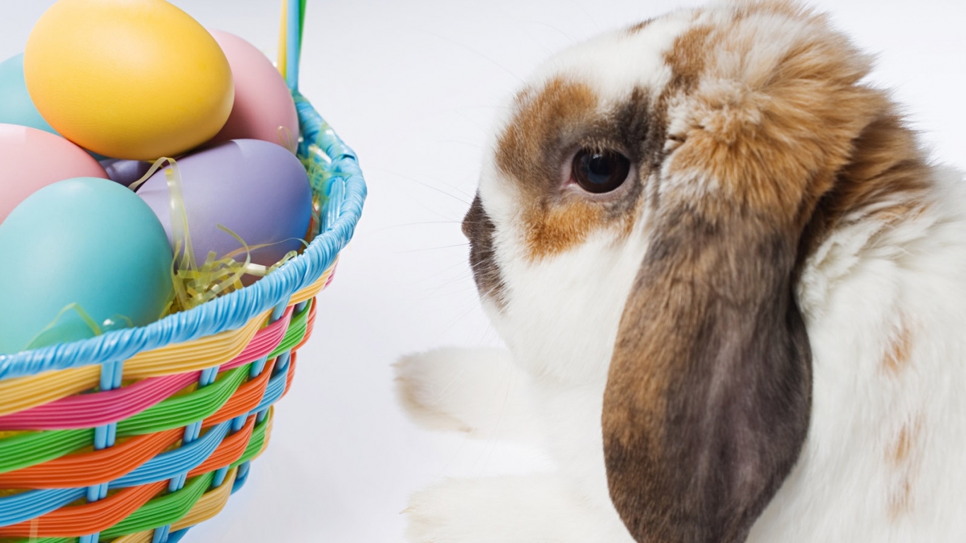 Пасхальный кролик