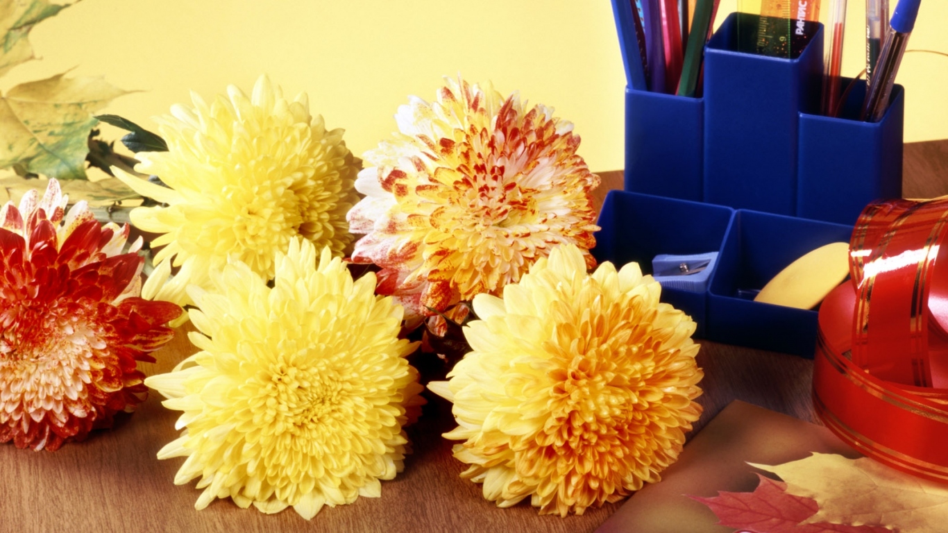 Снова за парту