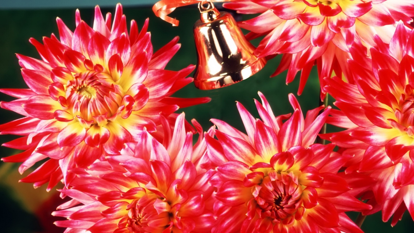 Цветы учителю