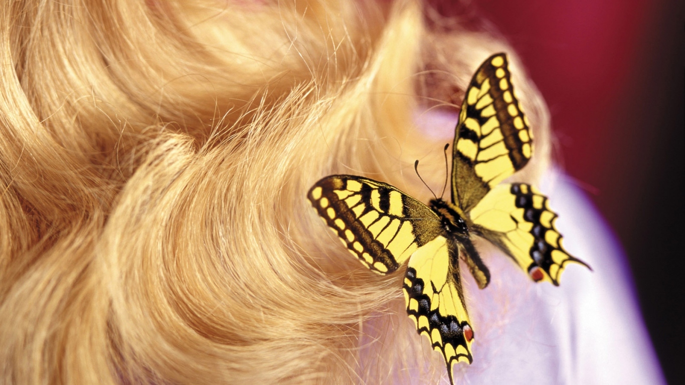 Бабочка на 8 марта