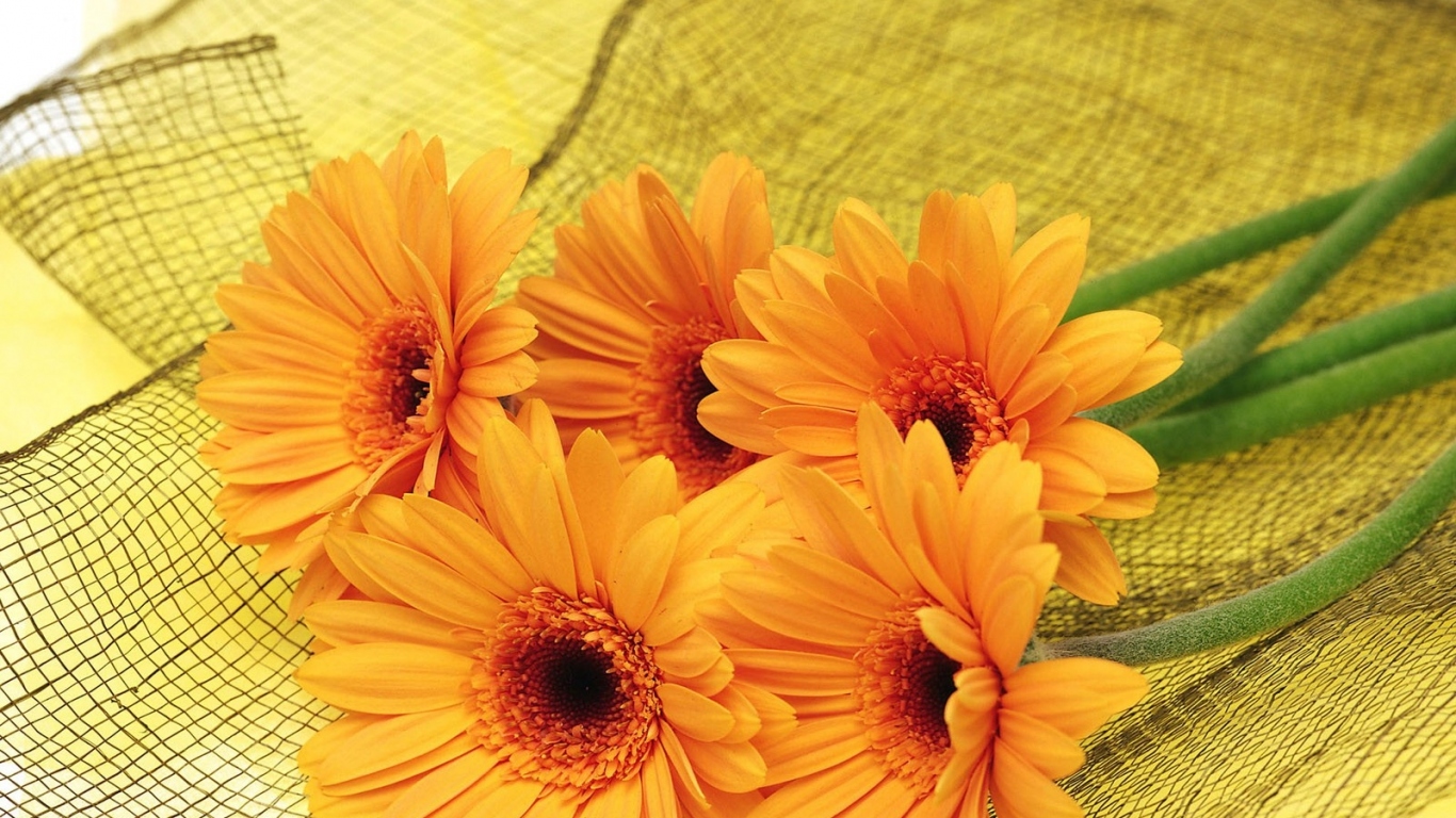 Цветы для самой красивой