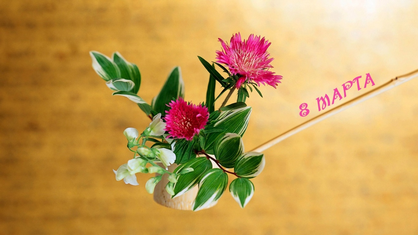 Подарки для любимых женщин