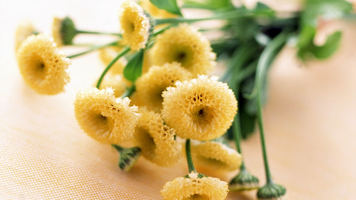 8 марта желтые цветочки