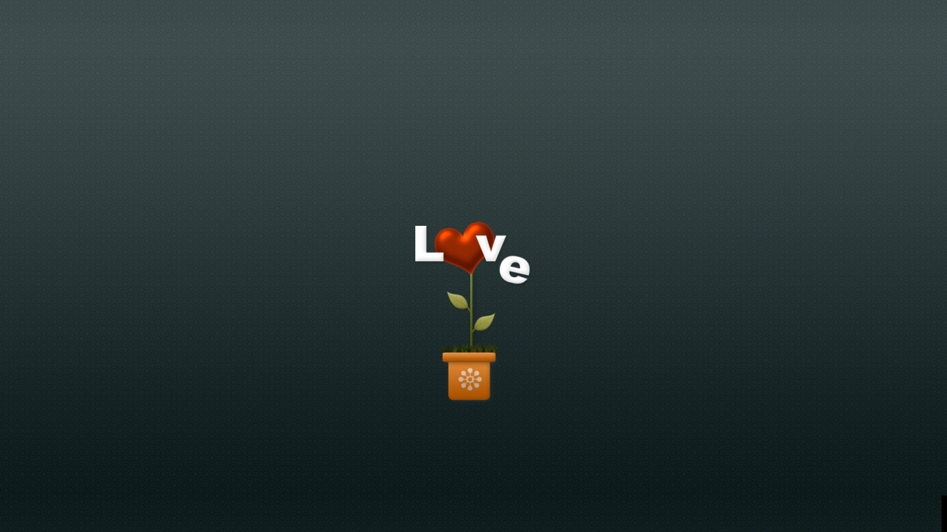 Цветок любви