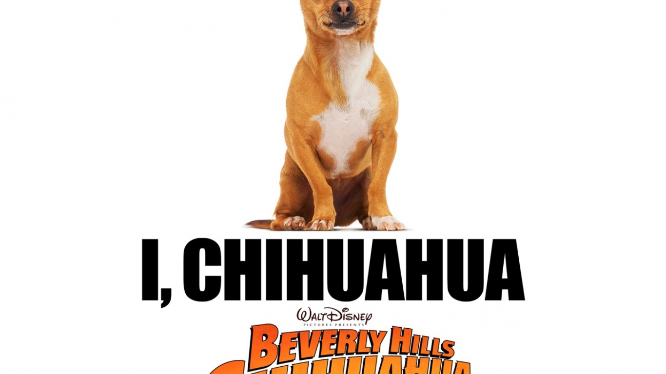 Крошка из Беверли-Хиллз / Beverly Hills Chihuahua