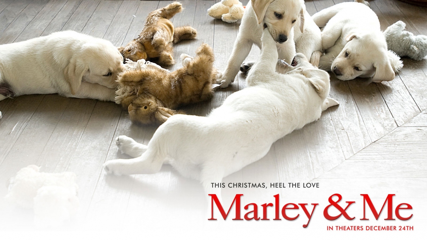 Марли и я / Marley & Me фильм