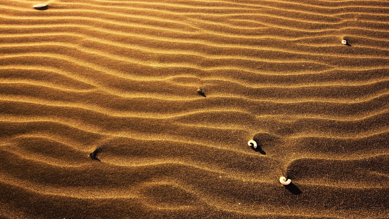 Пляжный песок