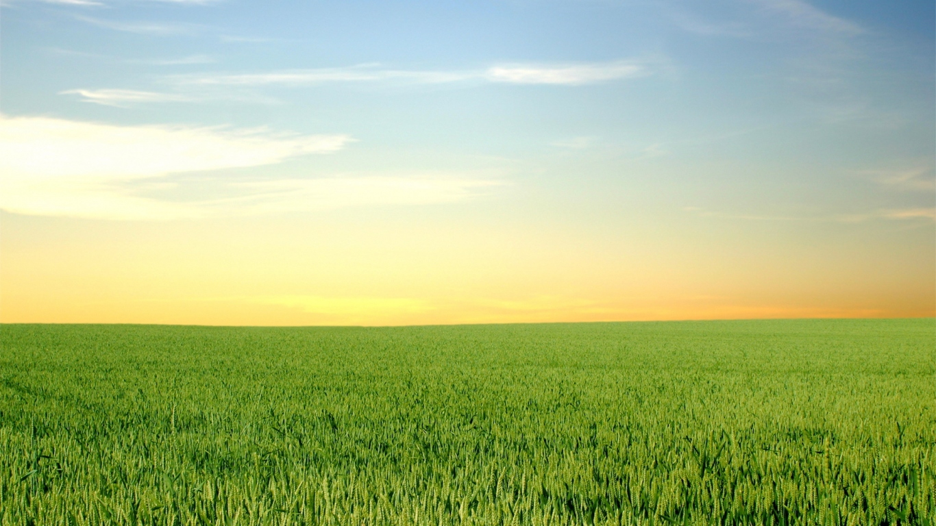 Зеленый горизонт