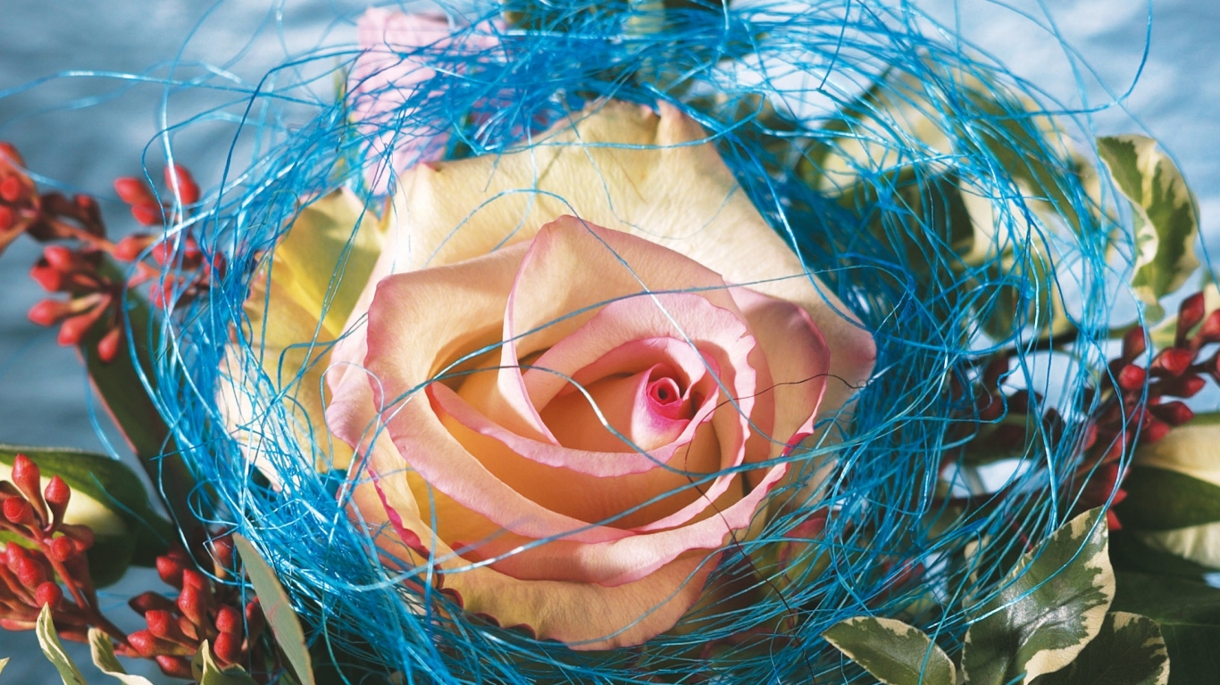 Украшенная роза