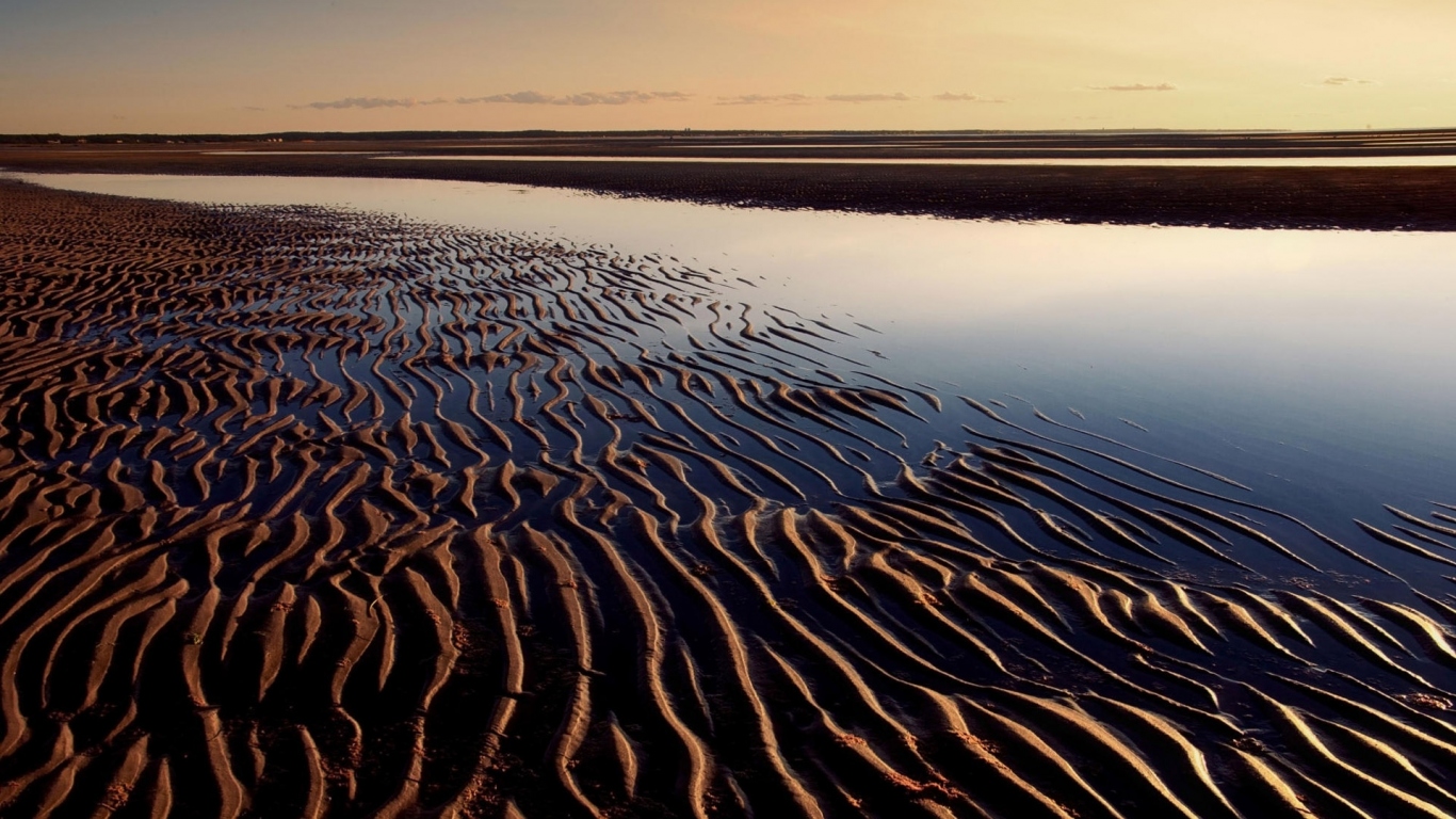 Волнистый берег