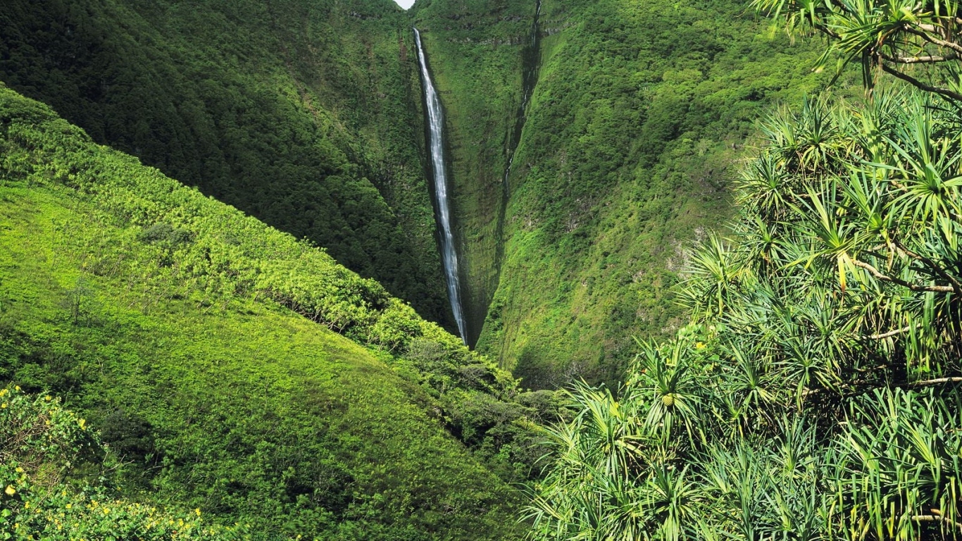 Рай на Земле