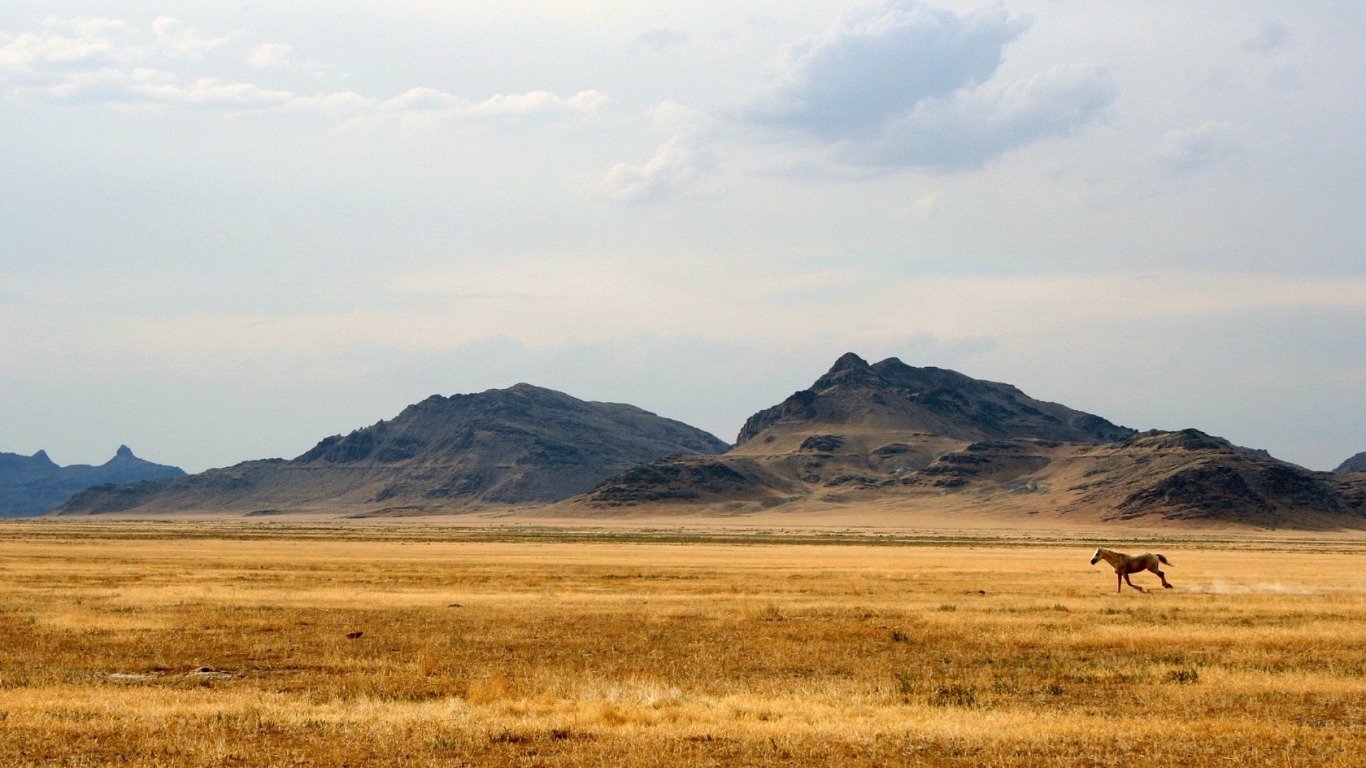 Дикий Запад